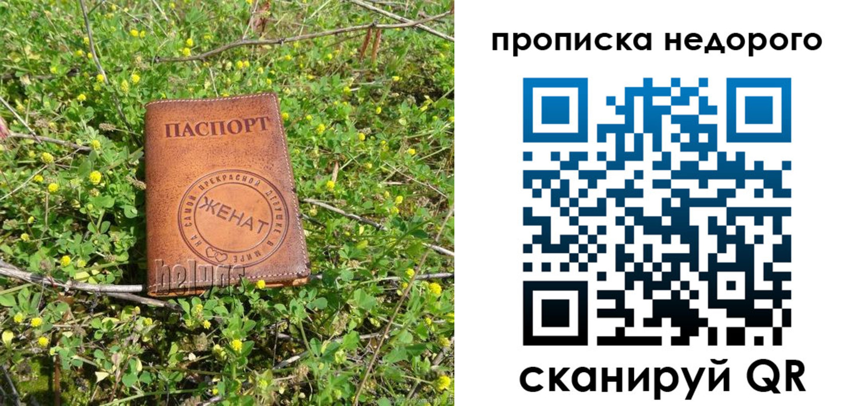 регистрация для дет. сада в Мурманской области